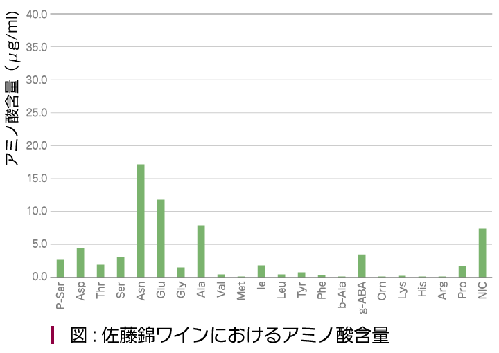 図:佐藤錦ワインにおけるアミノ酸含量