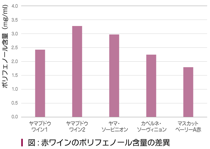 図:赤ワインのポリフェノール含量の差異