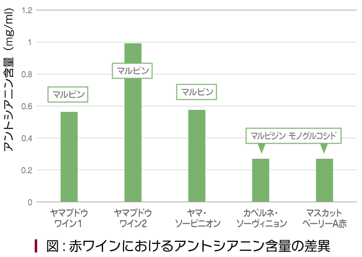 図:赤ワインにおけるアントシアニン含量の差異