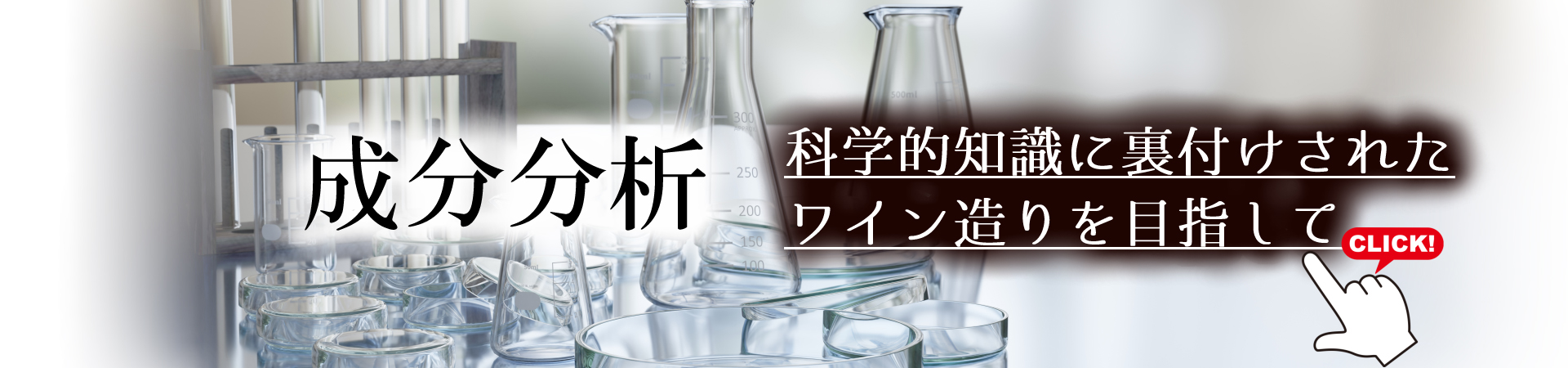 成分分析